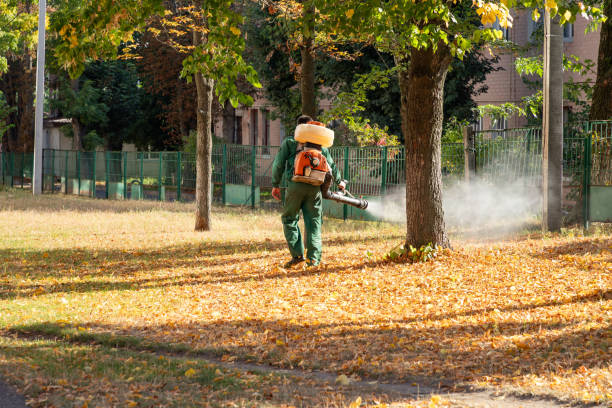 Wasp Removal Services in Washburn, WI